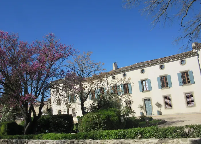 Logis Hôtel Château De Palaja
